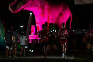 BIB: 
                            <button type="button" onclick="openModal(26530636)" class="btn btn-primary btn-sm float-right btn-popup" data-toggle="modal" data-target=".modal-high-quality">
                        <i class="fas fa-shopping-cart"></i> Add to Cart
                    </button>
                                            <button type="button" onclick="isThisMe(26530636, true)" class="btn btn-success btn-sm float-right btn-popup btn-isme hidden" data-toggle="tooltip" data-placement="bottom" title="นี่คือรูปของคุณใช่ไหม คลิกที่นี่เพื่อเอาเข้าอัลบั้ม">
                        <i class="fas fa-plus"></i> Add to album
                    </button>
                    <button type="button" onclick="isThisMe(26530636, false)" class="btn btn-warning btn-sm float-right btn-popup btn-isnotme hidden">
                        <i class="fas fa-ban"></i> Remove from album
                    </button>